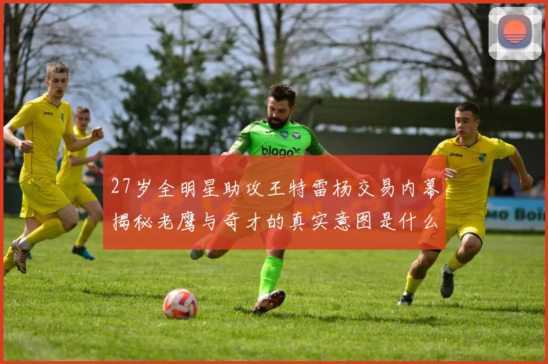 27岁全明星助攻王特雷杨交易内幕揭秘老鹰与奇才的真实意图是什么
